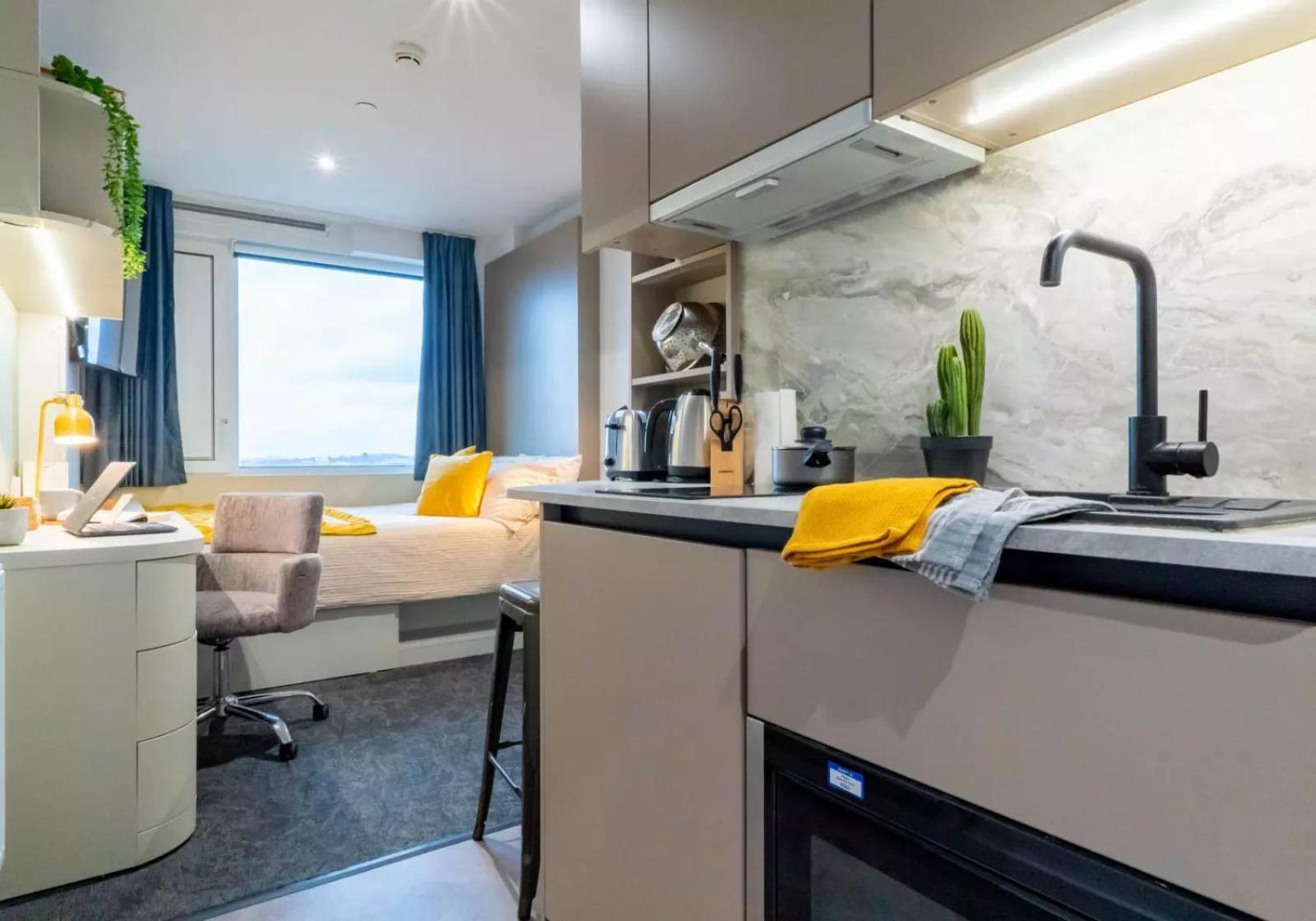 Apartment Student Only Bronze At Iq Vega *